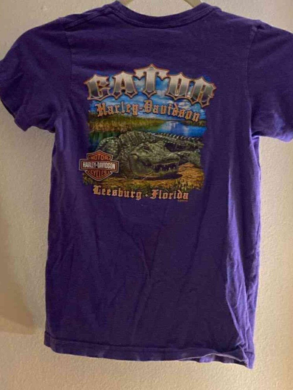Harley Davidson Rainbow Script Purple T-Shirt - Picture 2 of 2